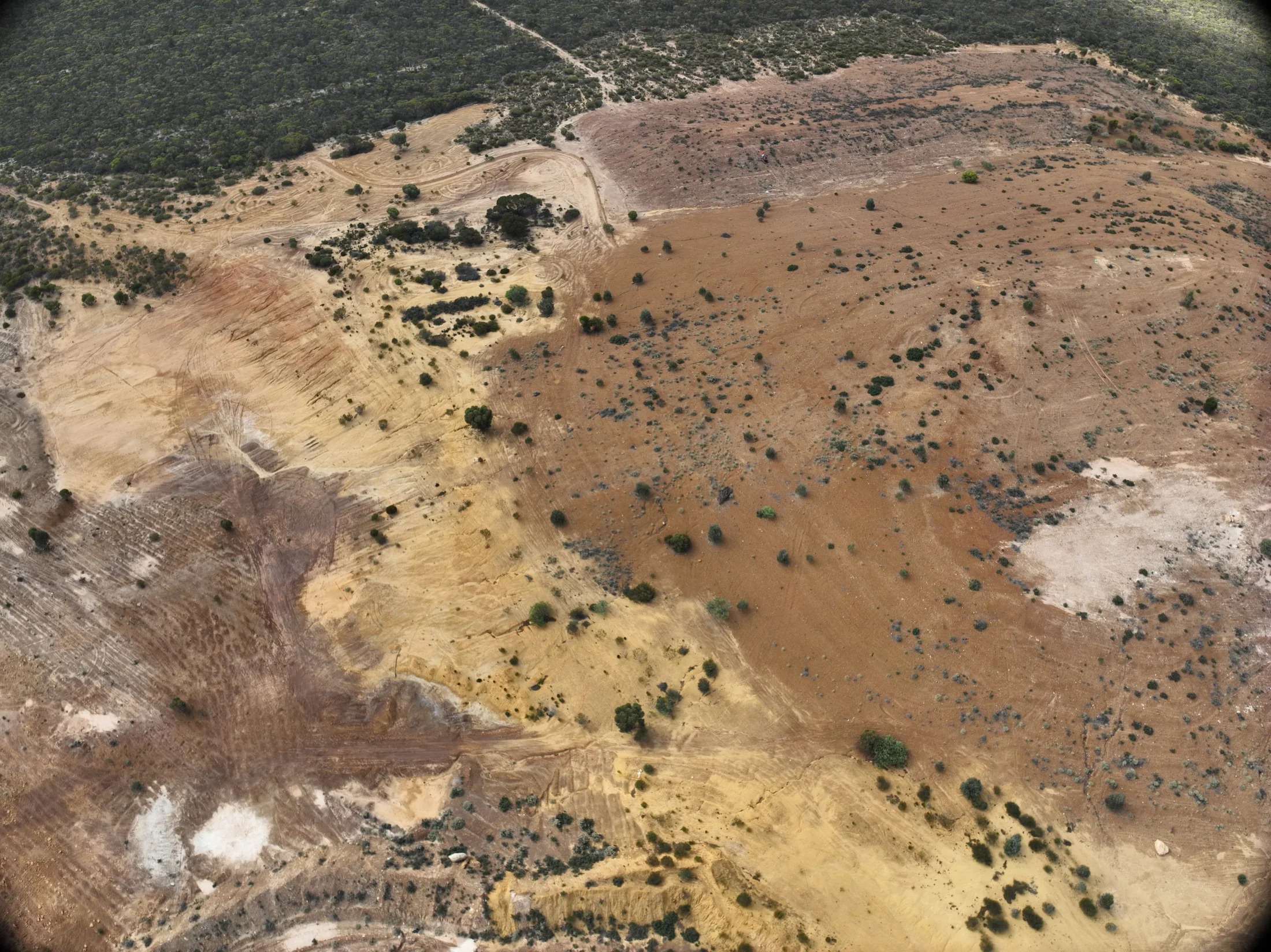 Aerial survey view across the Holleton Gold Project landscape